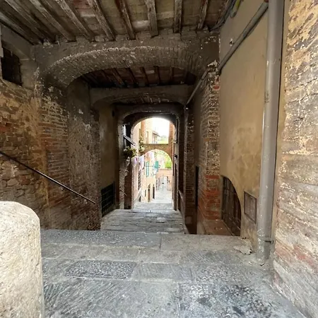 - A Pochi Passi Da Piazza Del Campo Apartment *