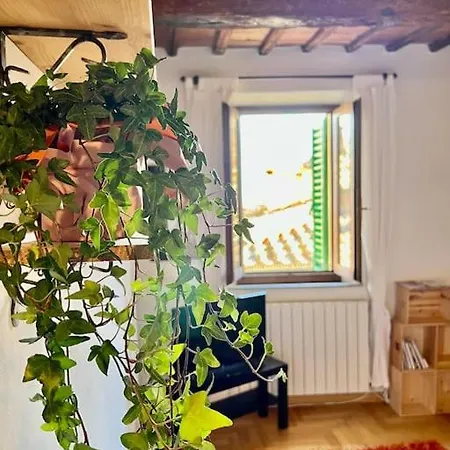 Apartment - A Pochi Passi Da Piazza Del Campo *