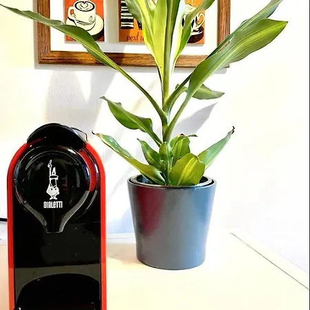 Apartamento - A Pochi Passi Da Piazza Del Campo